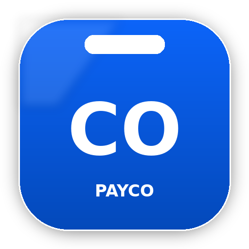 Bycasino Payco Yatırım Yöntemi logo